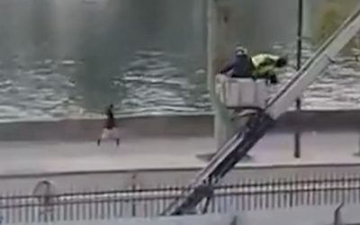 Francia24: Pink Flamingo, ci ha lasciato Dave Bell – Le incredibili immagini della fuga dei ladri dal Louvre – Moody’s, la Francia rischia un altro declassamento – Meteo Week-end