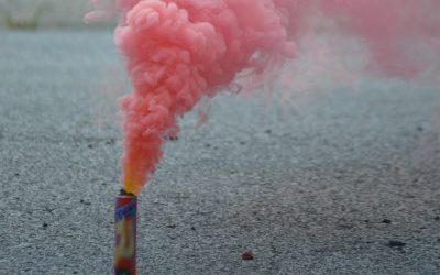 Nizza24 venerdì 31 ottobre: Fuochi Vietati nelle Alpi Marittime – Addio al Leone di Place Garibaldi – Météo Week-End