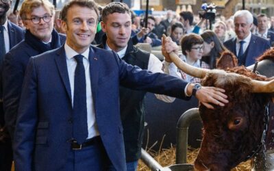 Francia24: Disoccupazione in aumento, obiettivi di Macron compromessi – Nuova tassa sui fast food, applicabile vicino alle scuole – Attenti agli Airbag – Meteo Parigi e Milano