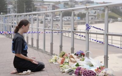 Francia24: Allerta in Francia dopo attacco antisemita in Australia, i nomi degli attentatori – Grazie all’Europa Roomba in Chapter11 – Epidemia bovina – Meteo Parigi e Milano
