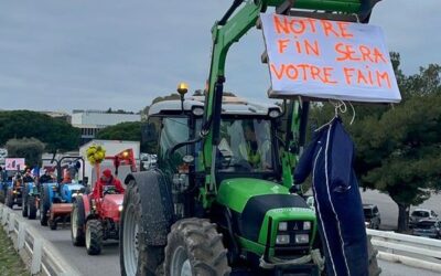 Nizza24 mercoledì 21 gennaio: Meno Furti Più Violenze Domestiche in Costa Azzurra – Protesta Agricoltori Alpi Marittime – Restauro alle Ponchettes di Nizza – Météo