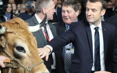 Francia24: Niente Mucche al Salone dell’Agricoltura –    Sonia Mabrouk a BFM Business – L’Editoriale di Rachel