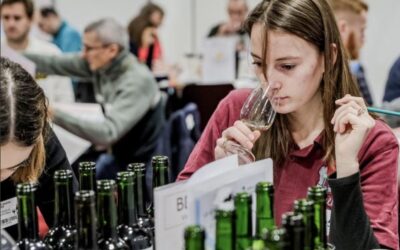 Francia24: Affare Epstein, fu Insabbiata (“archiviata”) nel 2020 indagine su diplomatico pedocriminale – Crollo Export vini Francesi – Oggi alle Olimpiadi – Allerta Maltempo