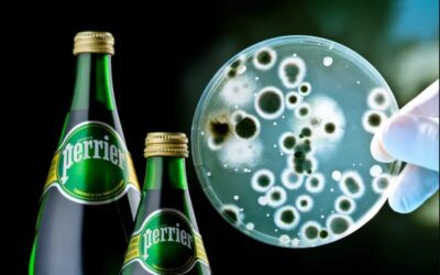 Scandalo acqua “minerale” Perrier senza fine: Tre Milioni di bottiglie Contaminate  – La Francia non abbassa le imposte perché non ha i mezzi – Chi ha diritto agli aiuti per il carburante? – Meteo Milano e Parigi