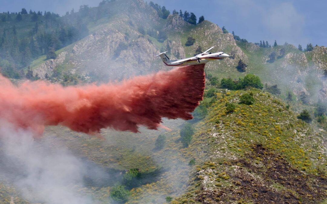 Nizza24 venerdì 12 giugno: Roquebillière Spento Incendio Boschivo – Morto sul Lavoro a Grasse – Festival Tv Monte Carlo – Météo Week End