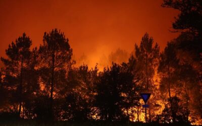 Drammatici incendi in Francia, In Gironda: 2.000 ettari bruciati e 12.000 evacuati – Darty vende 350 000 ventole e condizionatori in due mesi, +40% su 2025 – Meteo Parigi, Monte Carlo e Milano
