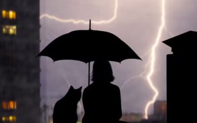 Corsica in emergenza temporali da venerdì mattina – Francia, il grande malato d’Europa – Harry e Meghan ritornano nel Regno Unito – Meteo Parigi Milano Monte Carlo