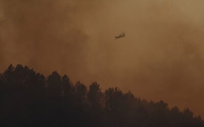 Var: incendie non maîtrisé, risque de réallumages avec la chaleur