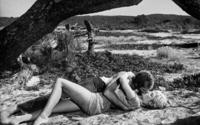 Nizza24 martedì 1 settembre: A Nizza due ore di parcheggio gratuito – Viaggio nel cinema girato del Sud della Francia – Monaco, il Consiglio d’Europa al Museo Oceanografico – Météo